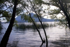 phoca_thumb_l_campo 001